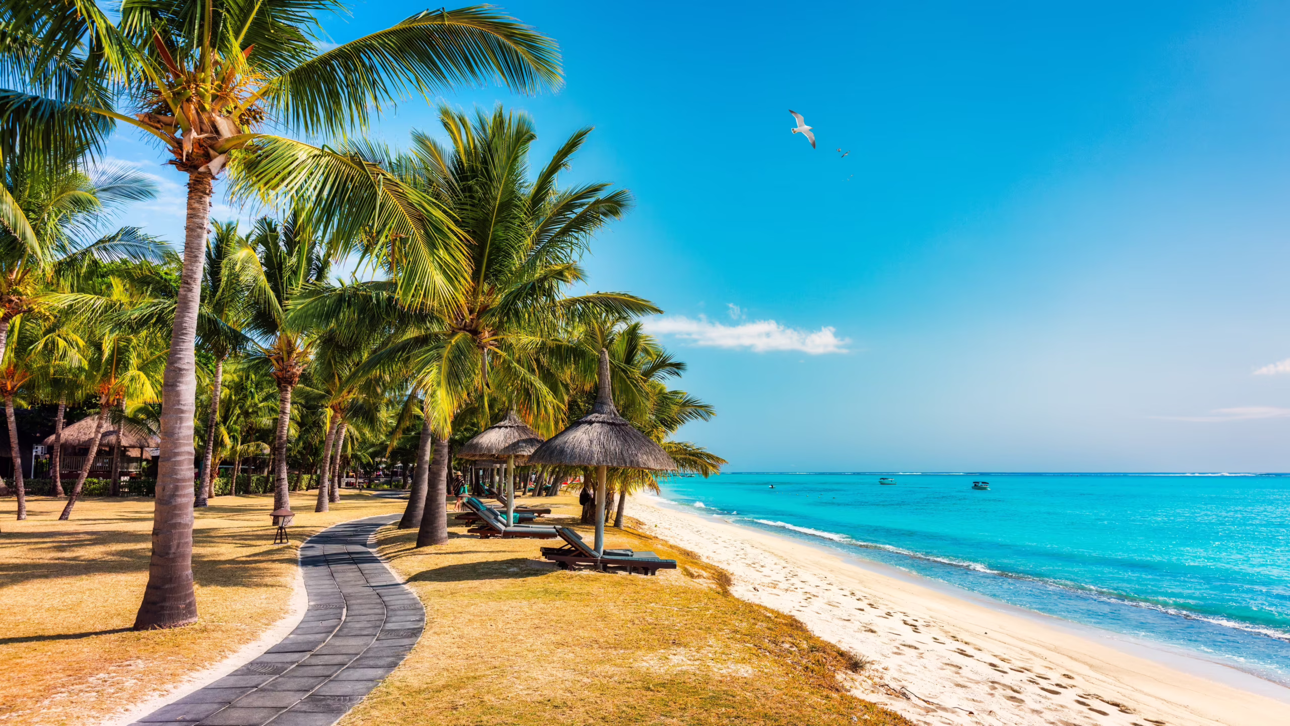 How to Travel to Mauritius in 2026: Complete Guide with Costs & Tips